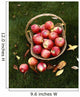 Agriculture - Fresh Honey Crisp apples Wall Mural