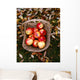 Agriculture - Fresh Fuji apples Wall Mural