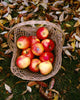 Agriculture - Fresh Fuji apples Wall Mural