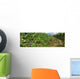 Agriculture - Vineyard of mature Cabernet Sauvignon wine grapes ready Wall Mural