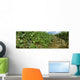 Agriculture - Vineyard of mature Cabernet Sauvignon wine grapes ready Wall Mural
