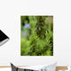 Closeup Mature Organic Rosemary Wall Decal
