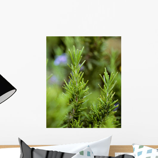 Closeup Mature Organic Rosemary Wall Decal