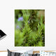 Closeup Mature Organic Rosemary Wall Decal