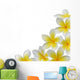 Plumeria Wall Decal