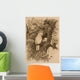 Antique Engraved Bird Print Wall Mural