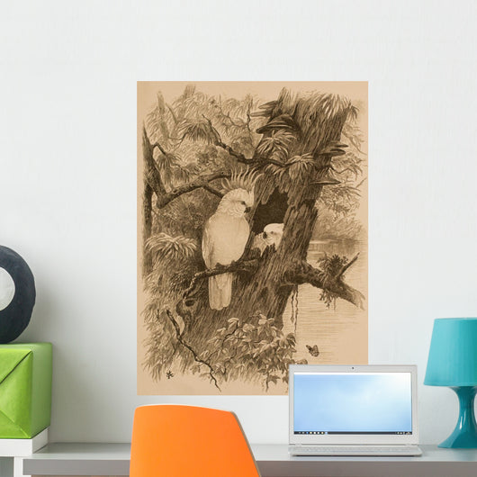 Antique Engraved Bird Print Wall Mural