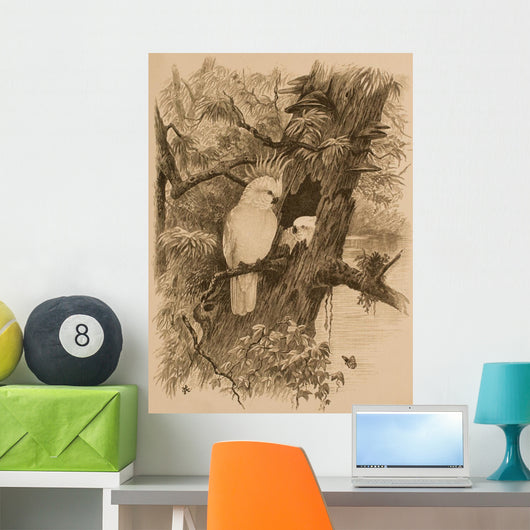 Antique Engraved Bird Print Wall Mural