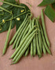 Agriculture - Green beans on stone Wall Mural
