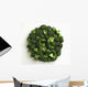 Agriculture - Broccoli florets, large, on white Wall Mural