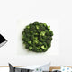 Agriculture - Broccoli florets, large, on white Wall Mural