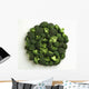 Agriculture - Broccoli florets, large, on white Wall Mural