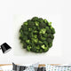 Agriculture - Broccoli florets, large, on white Wall Mural