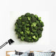Agriculture - Broccoli florets, large, on white Wall Mural