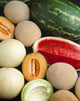 Agriculture - Mixed melons, watermelon, cantaloupe and honeydew Wall Mural
