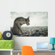 Gargoyle Architectural Fragment in Paris Wall Mural