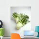 Agriculture - Fennel, on white Wall Mural