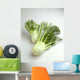 Agriculture - Fennel, on white Wall Mural