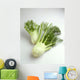 Agriculture - Fennel, on white Wall Mural