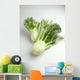 Agriculture - Fennel, on white Wall Mural