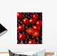 Agriculture - Processing tomatoes on black rocks and red surface Wall Mural