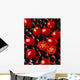 Agriculture - Processing tomatoes on black rocks and red surface Wall Mural