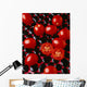 Agriculture - Processing tomatoes on black rocks and red surface Wall Mural