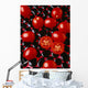 Agriculture - Processing tomatoes on black rocks and red surface Wall Mural
