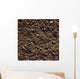 Agriculture - Closeup of clay soil / Monterey County, California, USA Wall Mural