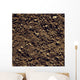 Agriculture - Closeup of clay soil / Monterey County, California, USA Wall Mural