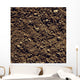 Agriculture - Closeup of clay soil / Monterey County, California, USA Wall Mural