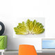 Agriculture - Romaine lettuce hearts fanned out on a white surface Wall Mural