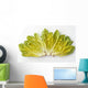 Agriculture - Romaine lettuce hearts fanned out on a white surface Wall Mural