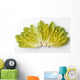 Agriculture - Romaine lettuce hearts fanned out on a white surface Wall Mural