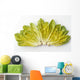 Agriculture - Romaine lettuce hearts fanned out on a white surface Wall Mural