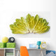 Agriculture - Romaine lettuce hearts fanned out on a white surface Wall Mural