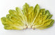 Agriculture - Romaine lettuce hearts fanned out on a white surface Wall Mural