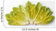 Agriculture - Romaine lettuce hearts fanned out on a white surface Wall Mural