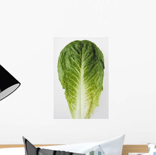 Agriculture - Closeup of a Romaine lettuce leaf on a white surface Wall Mural