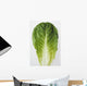 Agriculture - Closeup of a Romaine lettuce leaf on a white surface Wall Mural