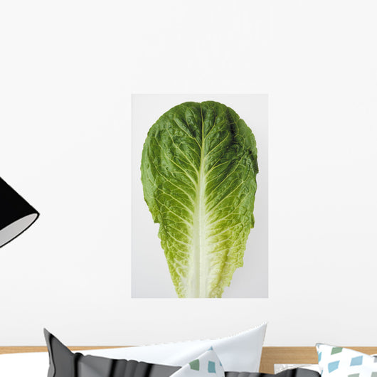 Agriculture - Closeup of a Romaine lettuce leaf on a white surface Wall Mural