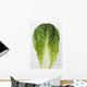 Agriculture - Closeup of a Romaine lettuce leaf on a white surface Wall Mural
