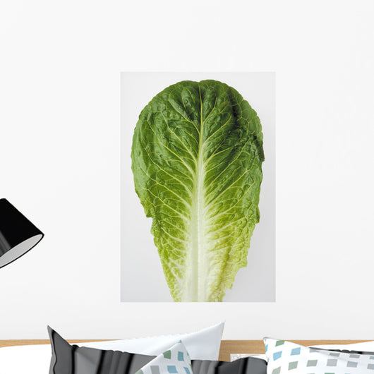 Agriculture - Closeup of a Romaine lettuce leaf on a white surface Wall Mural