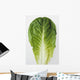 Agriculture - Closeup of a Romaine lettuce leaf on a white surface Wall Mural
