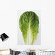 Agriculture - Closeup of a Romaine lettuce leaf on a white surface Wall Mural