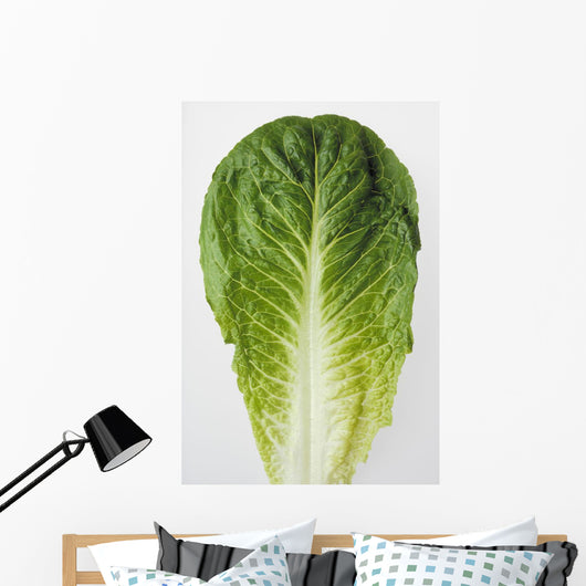 Agriculture - Closeup of a Romaine lettuce leaf on a white surface Wall Mural