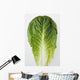 Agriculture - Closeup of a Romaine lettuce leaf on a white surface Wall Mural