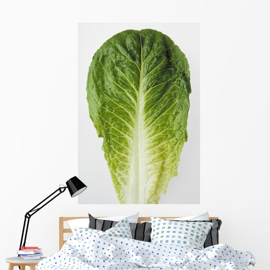 Agriculture - Closeup of a Romaine lettuce leaf on a white surface Wall Mural