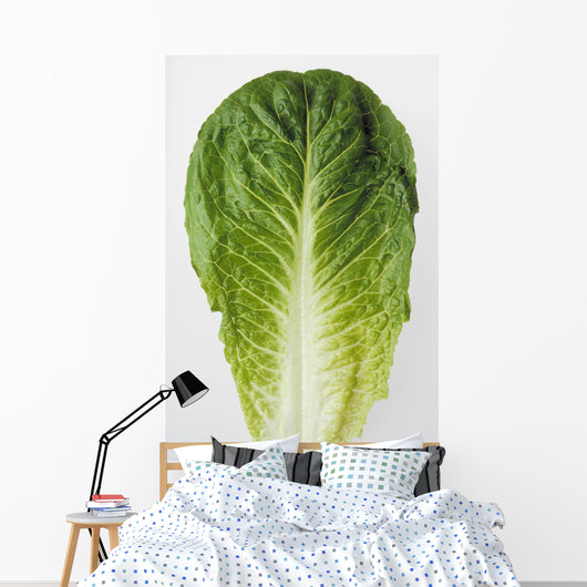 Agriculture - Closeup of a Romaine lettuce leaf on a white surface Wall Mural