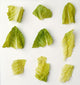 Agriculture - Closeup of chopped Romaine lettuce pieces Wall Mural